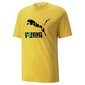 Puma meeste T-särk HC Graphic 533632*31, sinep 4064535463828 цена и информация | Meeste T-särgid | kaup24.ee