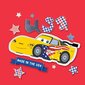 Vanniraamat Cars Pikne McQueen цена и информация | Imikute mänguasjad | kaup24.ee