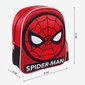 3D laste kott Spiderman hind ja info | Koolikotid, sussikotid | kaup24.ee