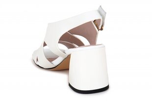 Naiste sandaalid LADY COUTURE 268331035025 hind ja info | Naiste kingad | kaup24.ee