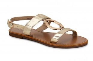 Naiste sandaalid C M 268839041891 hind ja info | Naiste sandaalid | kaup24.ee