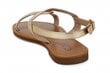 Naiste sandaalid C M 268839041891 цена и информация | Naiste sandaalid | kaup24.ee