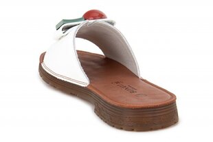 Naiste sandaalid BONAVI 269212041025 hind ja info | Naiste sandaalid | kaup24.ee