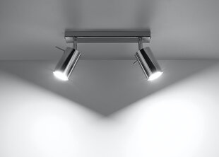 Потолочный светильник Sollux Ring, серебро, 2 лампочки цена и информация | Потолочные светильники | kaup24.ee