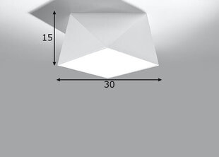 Sollux laevalgusti Hexa, valge, 25 cm цена и информация | Потолочные светильники | kaup24.ee