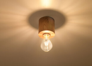 Потолочный светильник Sollux Salgado, коричневый цена и информация | Потолочные светильники | kaup24.ee