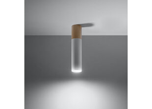 Потолочный светильник Sollux Pablo, белый цена и информация | Потолочные светильники | kaup24.ee