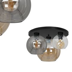 Milagro потолочный светильник Sofia Mix цена и информация | Потолочные светильники | kaup24.ee