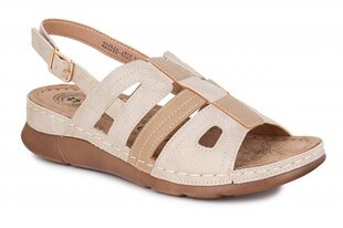Naiste sandaalid EVENTO 264535041052 hind ja info | Naiste sandaalid | kaup24.ee
