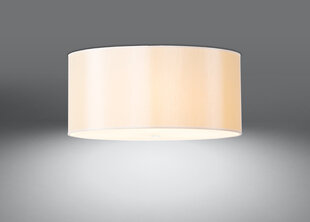 Потолочный светильник Sollux Otto, белый, 60 см цена и информация | Потолочные светильники | kaup24.ee