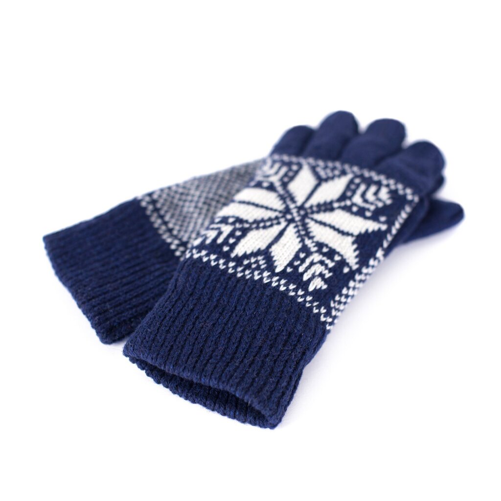 Art of Polo Gloves | Merevägi rk18608-1 цена и информация | Meeste sallid, mütsid ja kindad | kaup24.ee