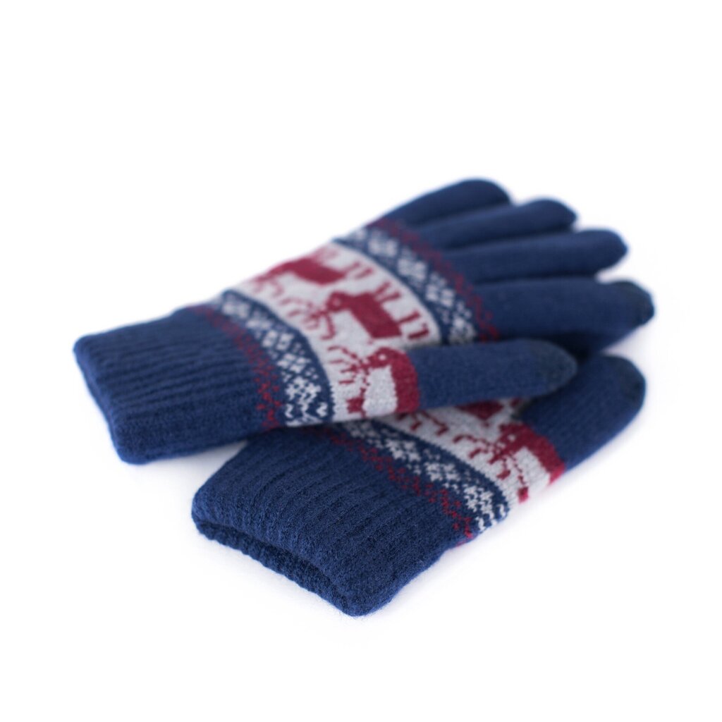 Art of Polo Gloves | Merevägi, klaret rk18566-2 hind ja info | Meeste sallid, mütsid ja kindad | kaup24.ee