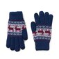 Art of Polo Gloves | Merevägi, klaret rk18566-2 hind ja info | Meeste sallid, mütsid ja kindad | kaup24.ee