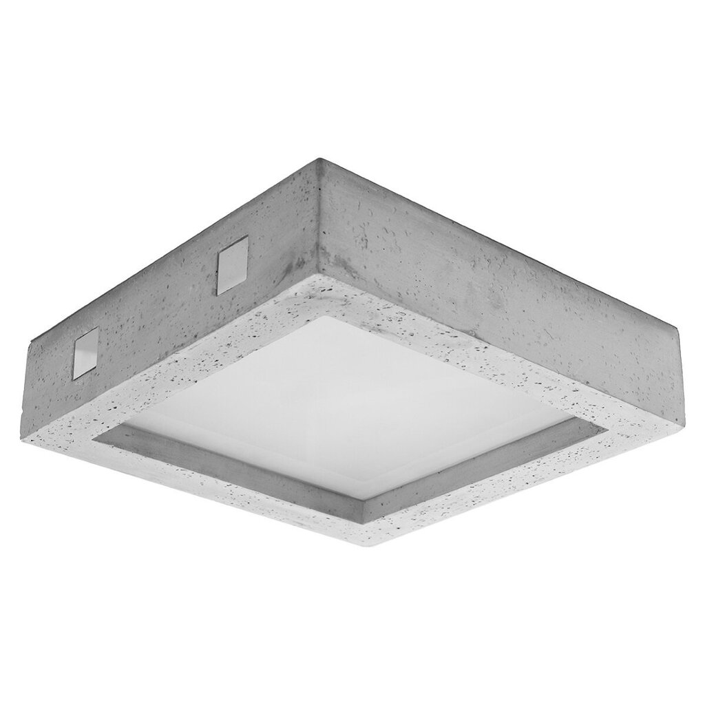 Sollux Lighting laevalgustid Riza hind ja info | Laelambid | kaup24.ee