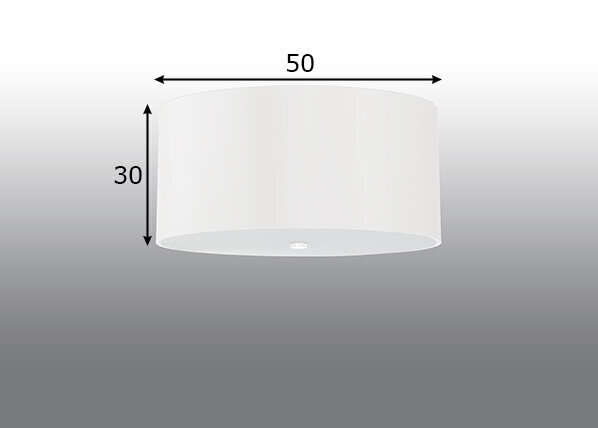 Laevalgusti Sollux Otto, valge, 50 cm цена и информация | Laelambid | kaup24.ee