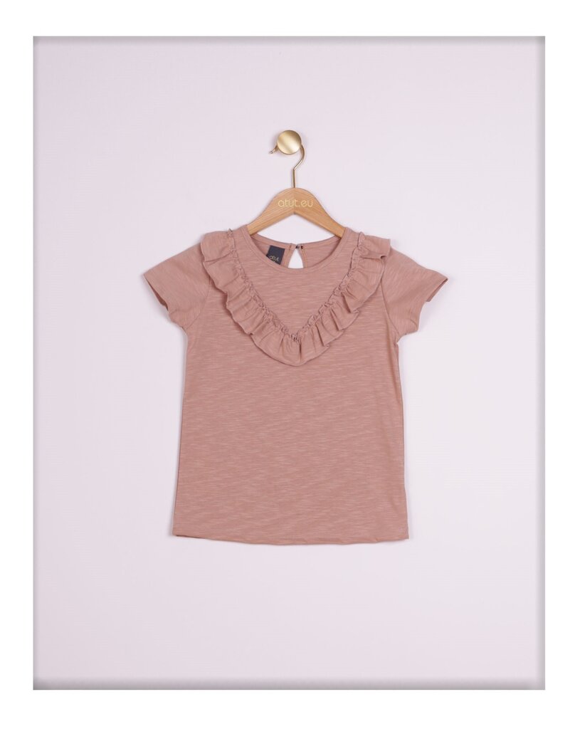 Lühikeste varrukatega T-särk tüdrukutele hind ja info | Tüdrukute särgid | kaup24.ee