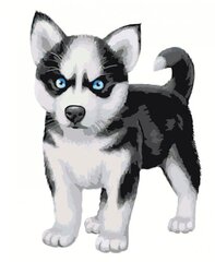 Maalid numbrite järgi " Puppy with blue eyes " 40 x 50 G A592 hind ja info | Maalid numbri järgi | kaup24.ee