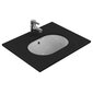 Keraamiline kraanikauss Ideal Standard Connect Oval, 48 x 35 cm, altpoolt paigaldatav, valge E504601 hind ja info | Kraanikausid, valamud | kaup24.ee