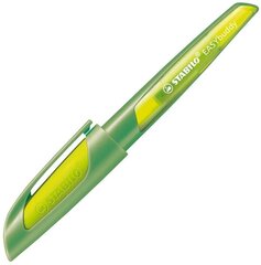 Перьевая ручка Easybuddy L, голубая-светло-зеленая цена и информация | Письменные принадлежности | kaup24.ee