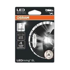 Auto pirn Osram LED Retrofit 0.5W 12V SV8.5-85, 1 tk (L6436CW-01B) hind ja info | Autopirnid | kaup24.ee