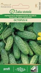 Короткие огурцы OCTOPUS H цена и информация | Семена овощей, ягод | kaup24.ee