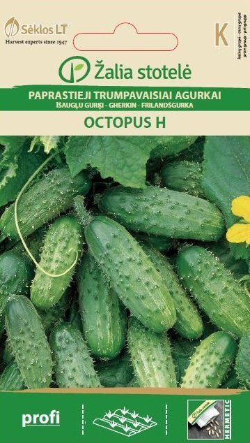 Tavaline lühike kurk Octopus H цена и информация | Köögivilja-, marjaseemned | kaup24.ee