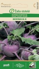 Nuikapsas Modrava H цена и информация | Семена овощей, ягод | kaup24.ee