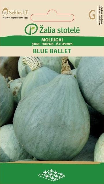 Kõrvits Blue Ballet цена и информация | Köögivilja-, marjaseemned | kaup24.ee