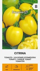Tomat CITRINA hind ja info | Köögivilja-, marjaseemned | kaup24.ee