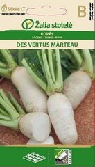 Редька DES VERTUS MARTEAU цена и информация | Семена овощей, ягод | kaup24.ee