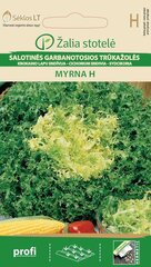 Kähar salat MYRNA H hind ja info | Köögivilja-, marjaseemned | kaup24.ee