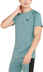Мужская футболка Puma Rtg Tee Mineral Green 585827 50 585827 50/M цена и информация | Мужские футболки | kaup24.ee
