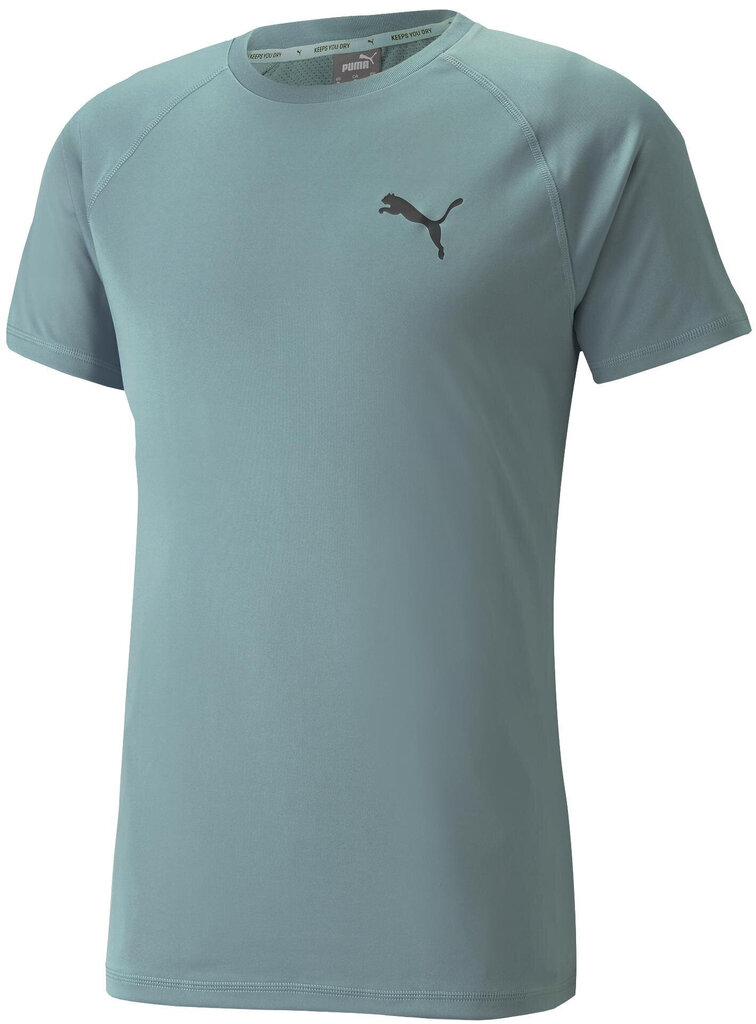 Puma T-Särgid Rtg Tee Mineral Green 585827 50 585827 50/M hind ja info | Meeste T-särgid | kaup24.ee