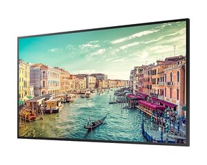 Samsung Stand Alone Display LH43QMRBPGCXEN цена и информация | Мониторы | kaup24.ee