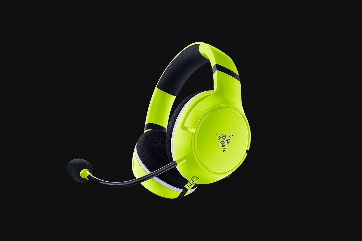 Kõrvaklapid Razer Essential Duo Bundle for Xbox RZ82-03970300-B3M1 цена и информация | Kõrvaklapid | kaup24.ee