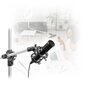 Mikrofon koos pöörleva hoidikuga 4SMARTS / 6530048 hind ja info | Mikrofonid | kaup24.ee