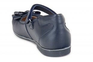 Детские туфли Gabi 343656036546 цена и информация | Детские туфли | kaup24.ee