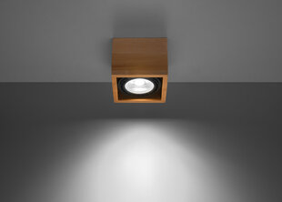 Потолочный светильник Sollux Quatro, коричневый, 1 лампочка цена и информация | Потолочные светильники | kaup24.ee