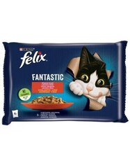 Felix märgtoit kassidele veise- ja kanalihaga, 4x85 g hind ja info | Felix Lemmikloomatarbed | kaup24.ee