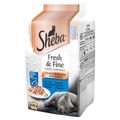 Sheba Fresh & Fine Mini märgtoit kassidele kala maitsega, 6x50 g hind ja info | Konservid kassidele | kaup24.ee