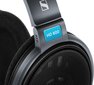 Sennheiser HD 600 цена и информация | Kõrvaklapid | kaup24.ee