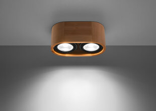 Sollux потолочный светильник Basic, коричневый цена и информация | Потолочные светильники | kaup24.ee