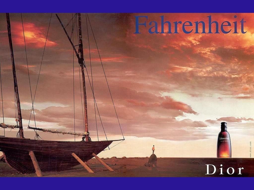 Christian Dior Fahrenheit EDT meestele 100 ml hind ja info | Meeste parfüümid | kaup24.ee