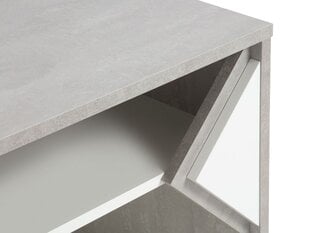 Журнальный столик BSL Concept Melani, 90x60x50 см, белый цена и информация | Журнальные столики | kaup24.ee