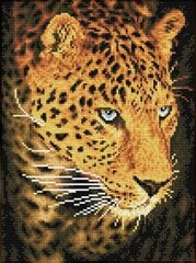 Teemantmosaiik Leopard portrait, 40X30 cm hind ja info | Teemantmaalid, teemanttikandid | kaup24.ee