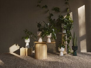 Шарики для полива комнатных растений Iittala, 2 шт. цена и информация | Вазоны | kaup24.ee