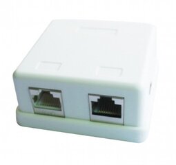 Adapter Amberin RJ45 hind ja info | USB jagajad, adapterid | kaup24.ee