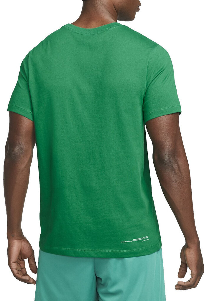 Nike T-Särgid M Nk Df Tee 6/1 Gfx Green DM6255 365 DM6255 365/S цена и информация | Meeste T-särgid | kaup24.ee