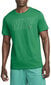 Nike T-Särgid M Nk Df Tee 6/1 Gfx Green DM6255 365 DM6255 365/S цена и информация | Meeste T-särgid | kaup24.ee