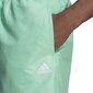 Adidas Lühikesed Püksid Solid Clx Sh Sl Mint HA0386 hind ja info | Ujumispüksid, shortsid | kaup24.ee